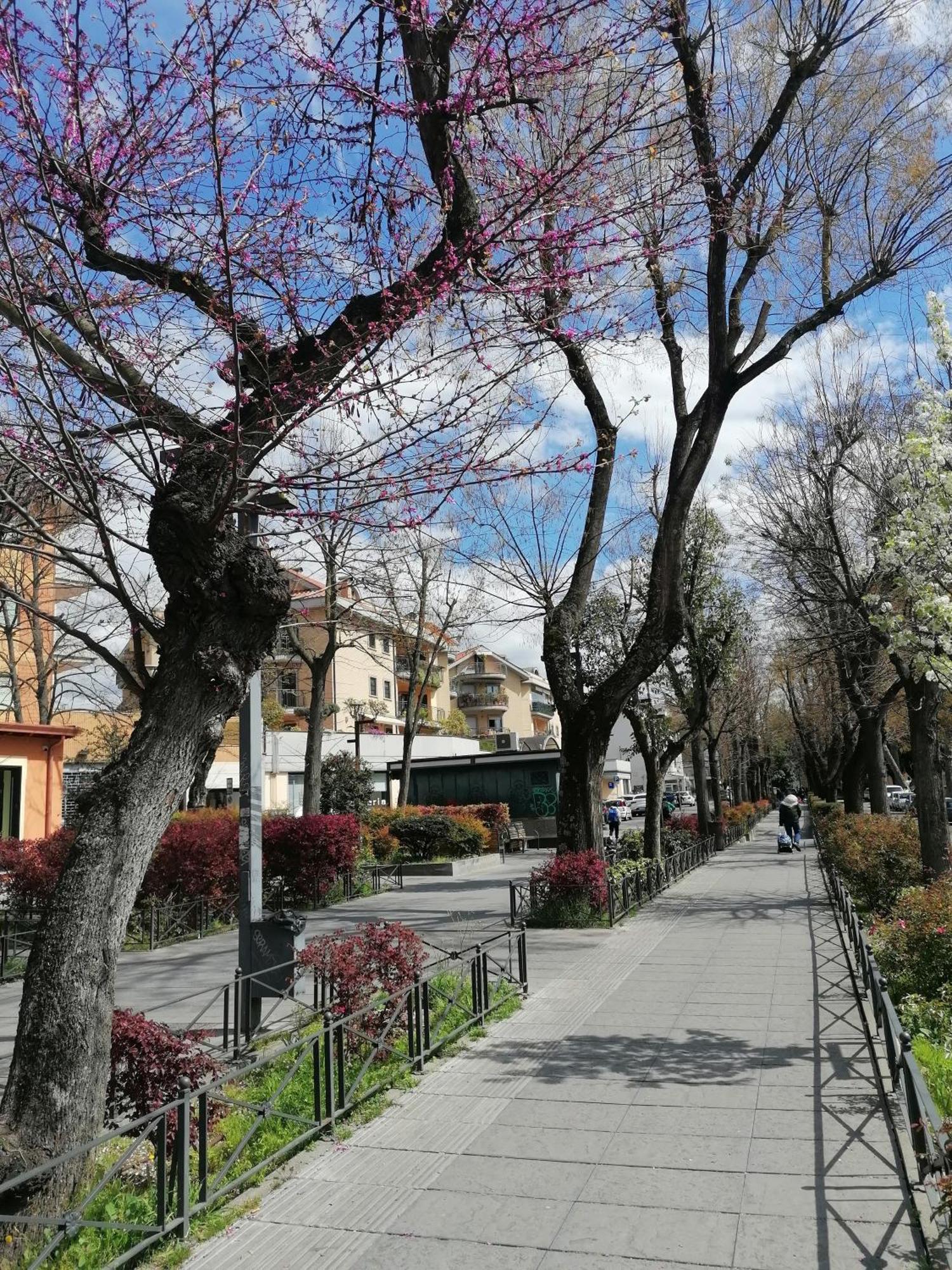 La Passeggiata Daire Monterotondo  Dış mekan fotoğraf